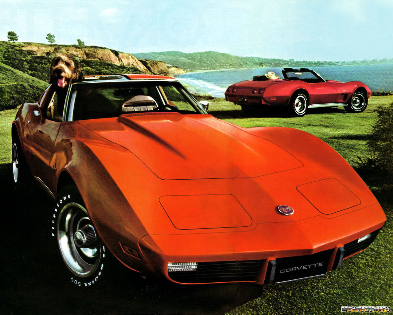 , corvette